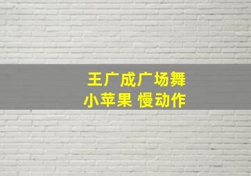 王广成广场舞小苹果 慢动作